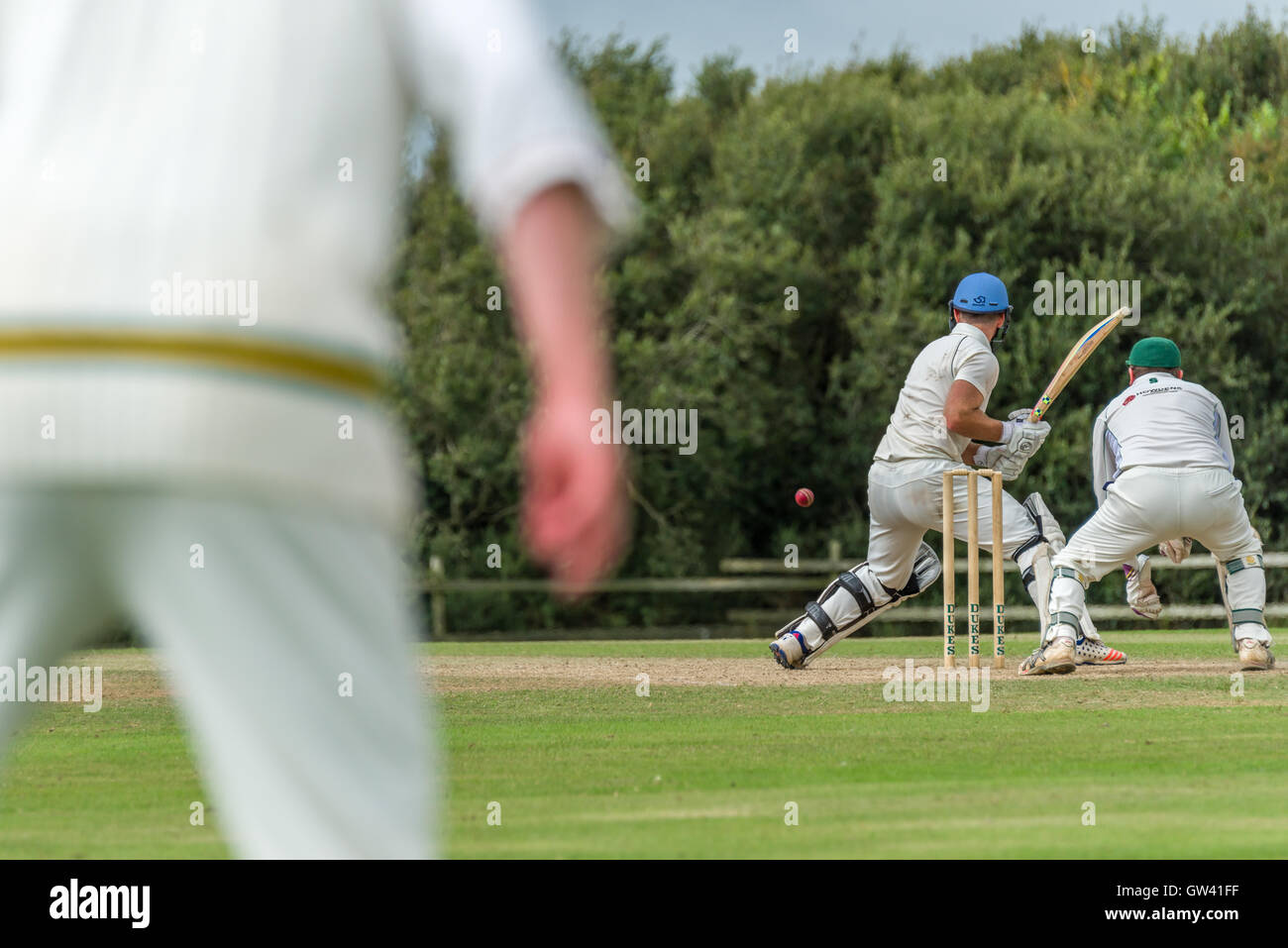 Match de cricket Banque D'Images
