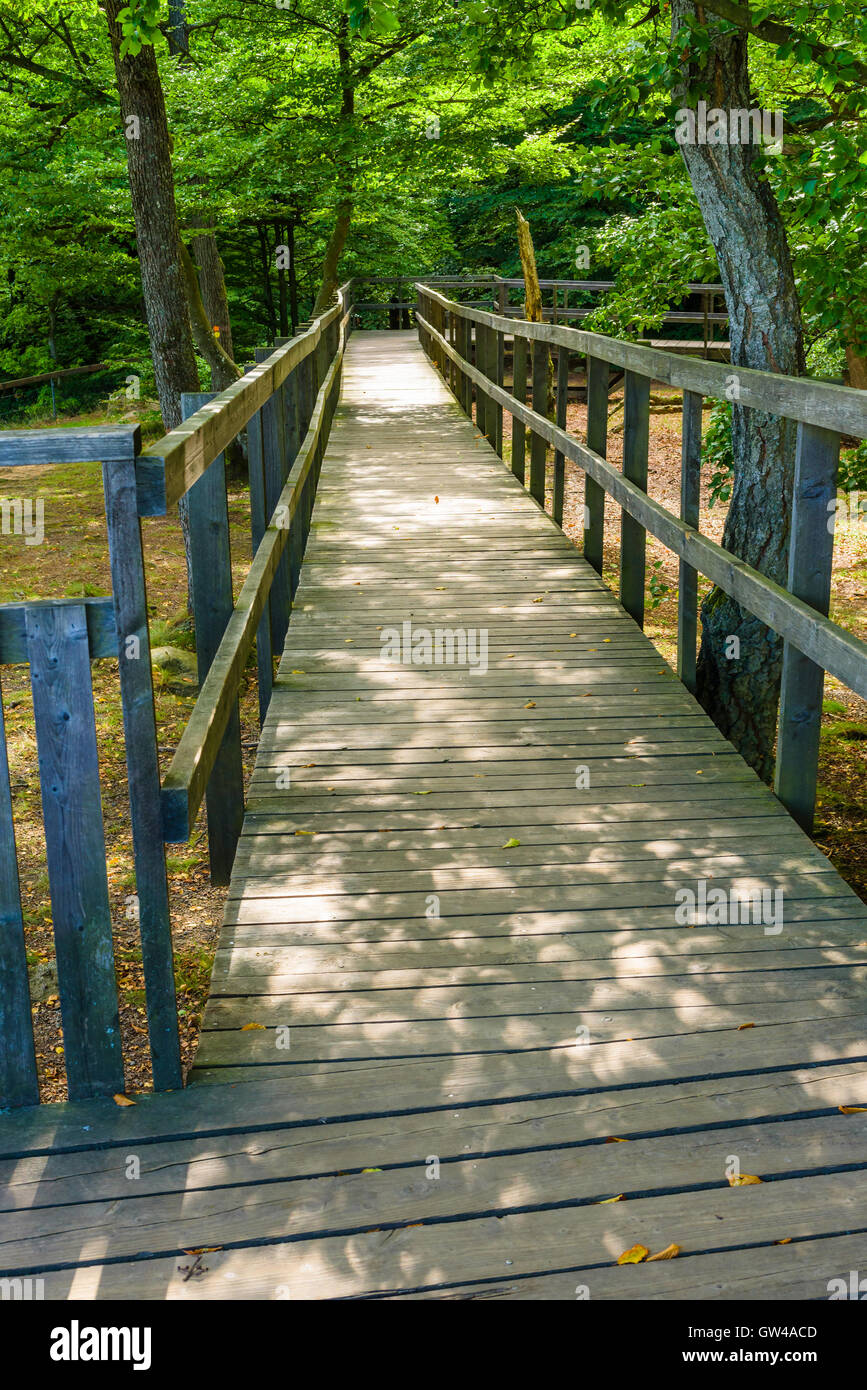 Rampe en bois ou un chemin dans Soderasen parc national en Suède. Banque D'Images