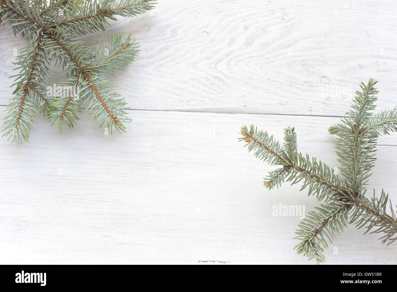 Les aiguilles de pin de Noël sur fond de bois Banque D'Images