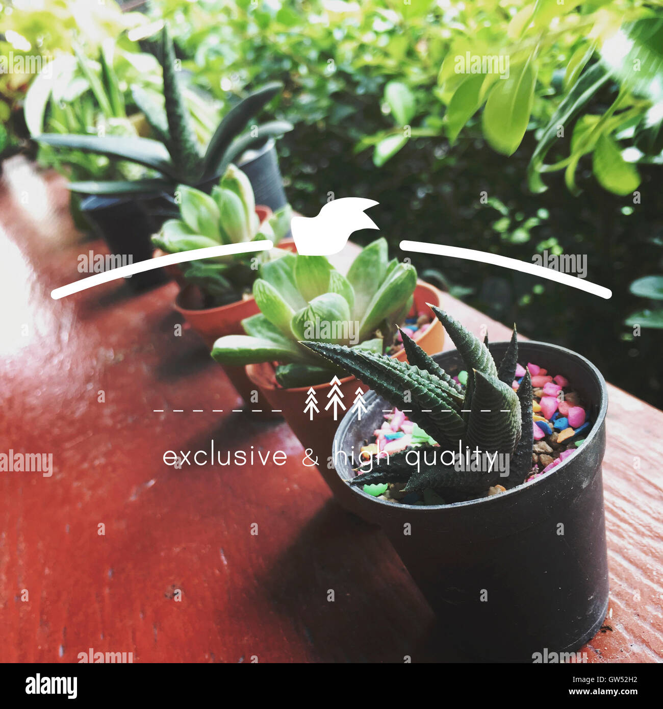 Bannière Marketing de marque de haute qualité copie Espace Concept Banque D'Images