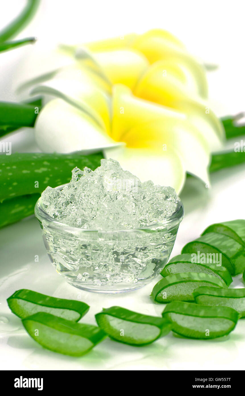 D'Aloe Vera Aloe vera gel sur les feuilles et l'arrière-plan. plumeria Aloe Vera gel près d'utiliser dans l'alimentation, de la médecine et de la beauté de l'industrie. Banque D'Images