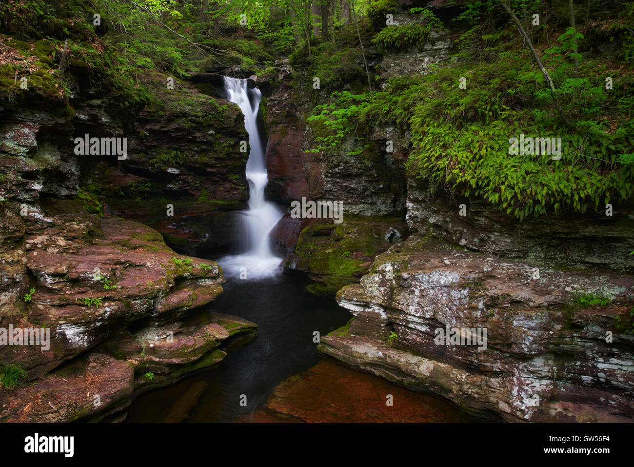 Lewis Run sculpte son chemin à travers la Rhyolite rouge dans la région de Ricketts Glen State Park, New Jersey, Luzerne Comté. Banque D'Images