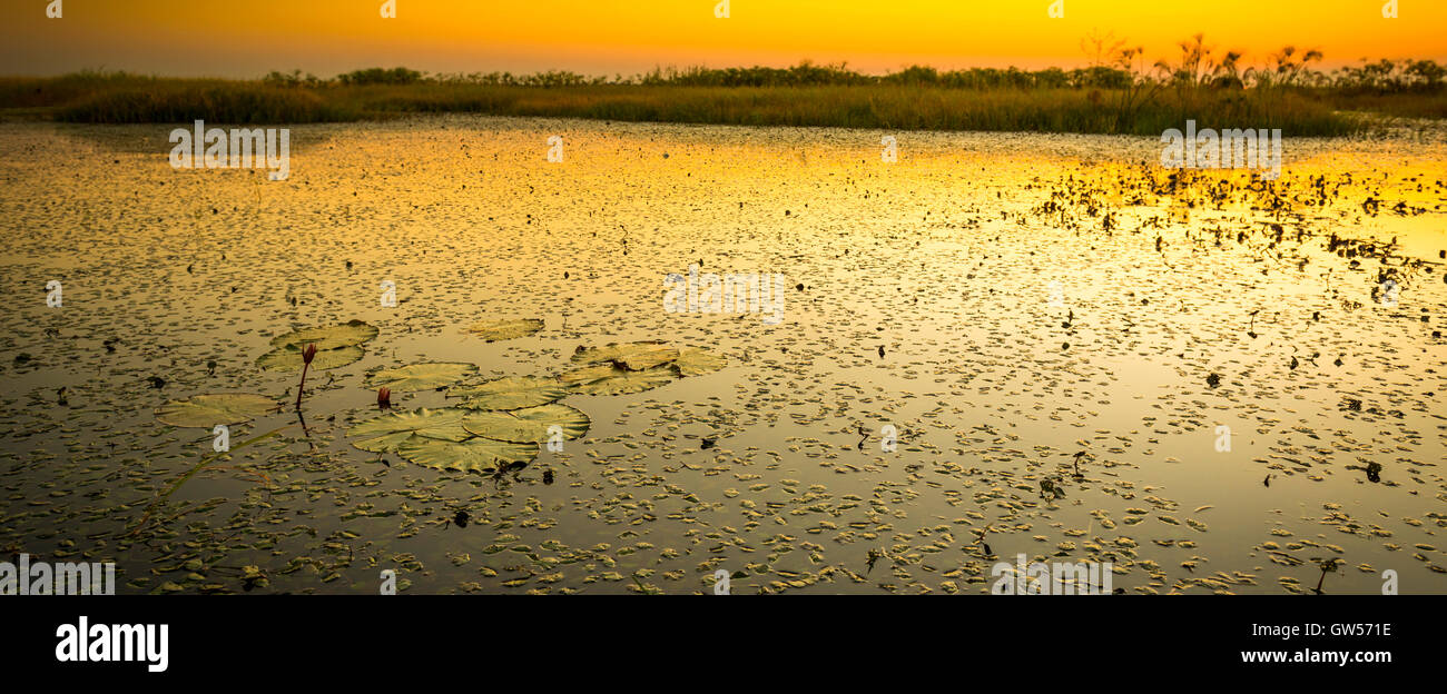Coucher de soleil sur la rivière Chobe dans Chobe National Park, Botswana, Africa Banque D'Images