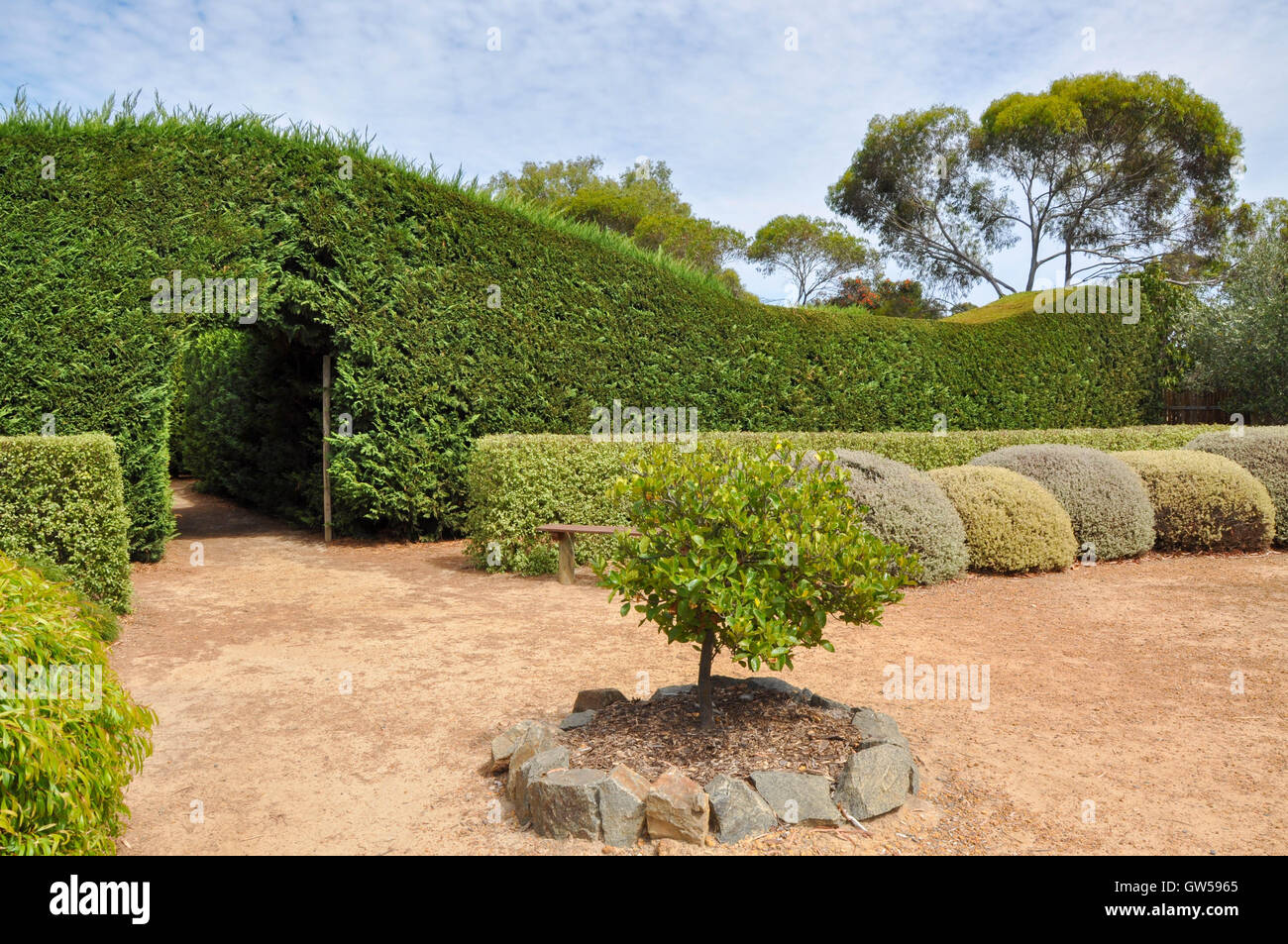 Entrée de la haie verte paysagée, labyrinthe de rivière Rivamaze'n avec jardins sous un ciel bleu dans l'ouest de l'Australie. Banque D'Images