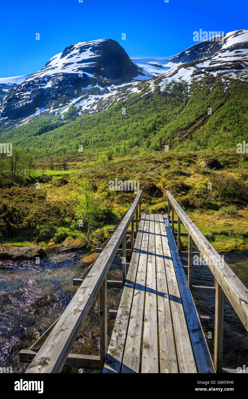 Une passerelle à travers un ruisseau dans les pâturages d'été derrière Wavre en Norvège Banque D'Images Une passerelle à travers un ruisseau dans les pâturages d'été derrière Wavre en Norvège Banque D'Images