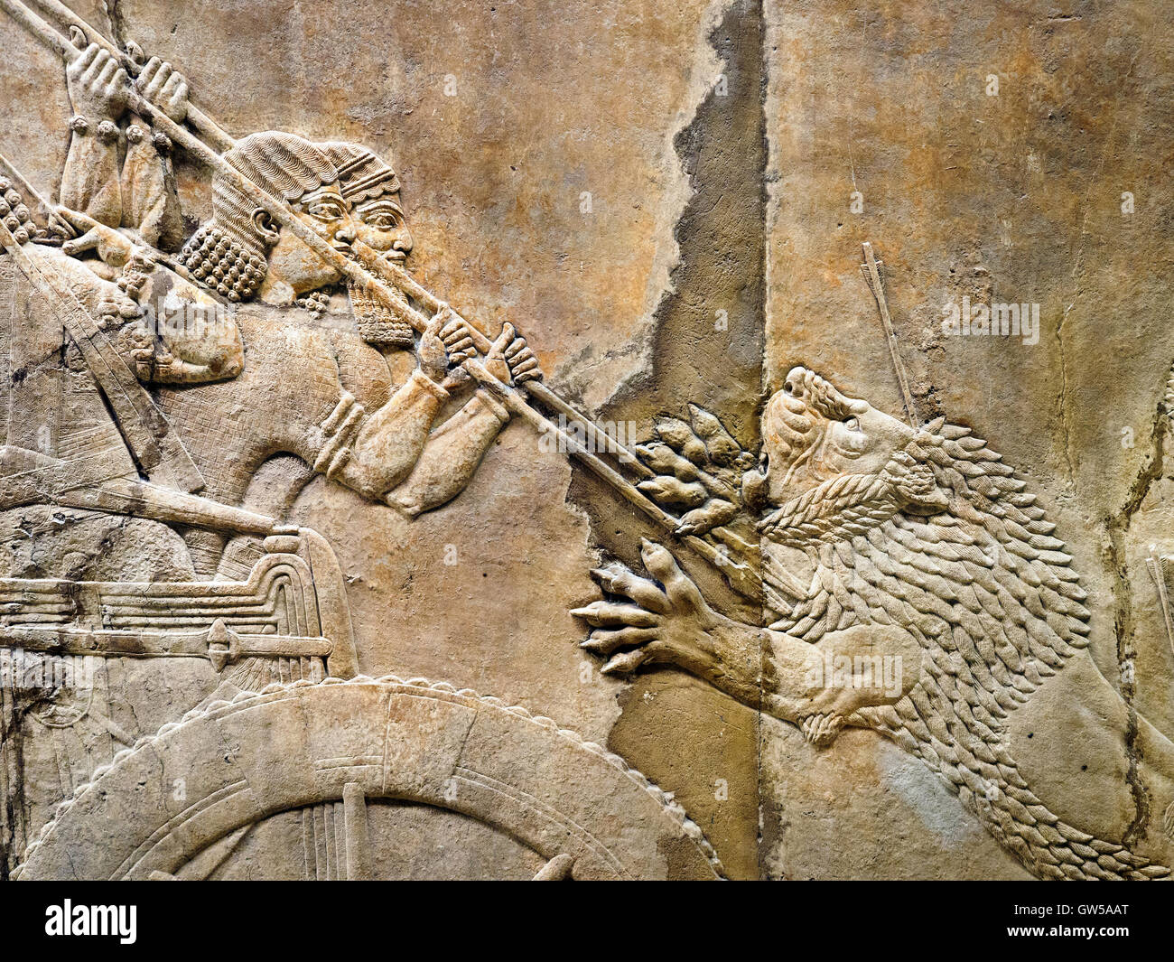 La chasse au lion royal assyrien, environ 645-635 BC de Ninive, Palais du British Museum - Londres, Angleterre Banque D'Images
