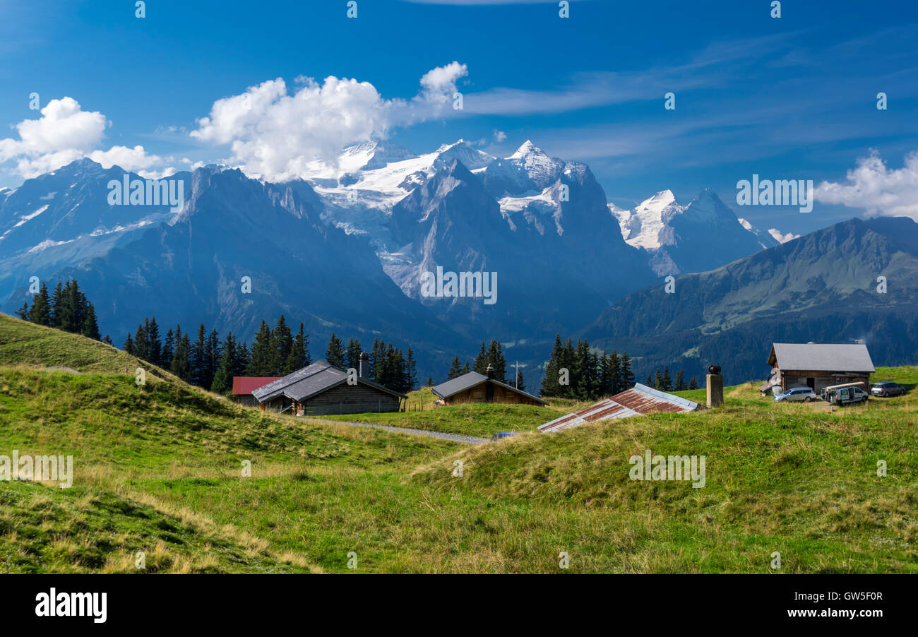 Chalets dans les Alpes Suisses en face de montagnes couvertes de neige y compris Wetterhorn. Banque D'Images