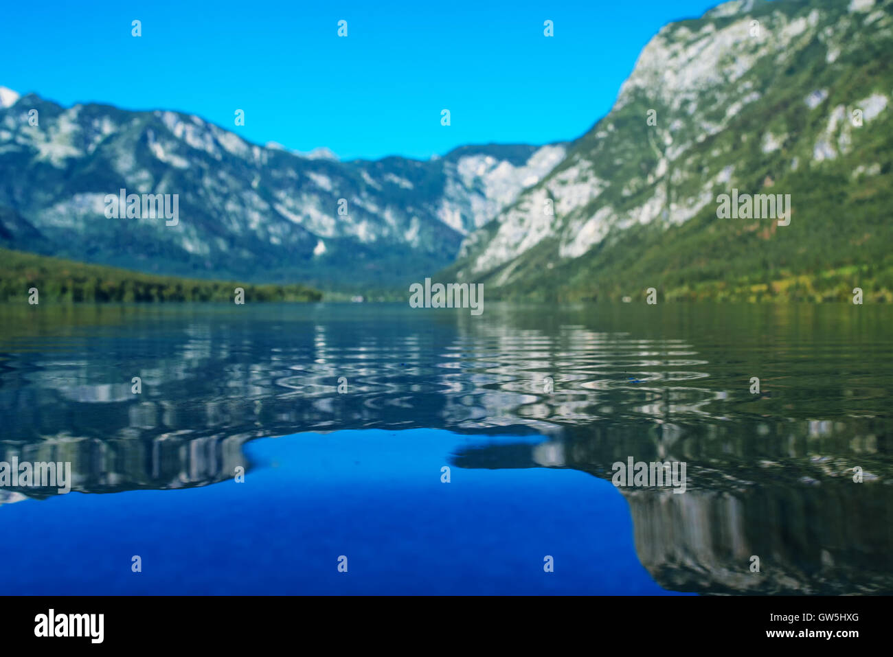 Lac de Bohinj en slovène Triglav national park avec sa surface de l'eau entourée de montagnes des Alpes juliennes Banque D'Images