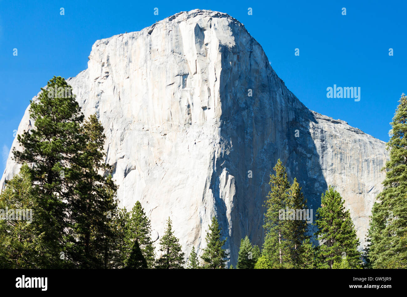 Yosemite National Park, Californie, le livre blanc El Capitan mountain  Photo Stock - Alamy