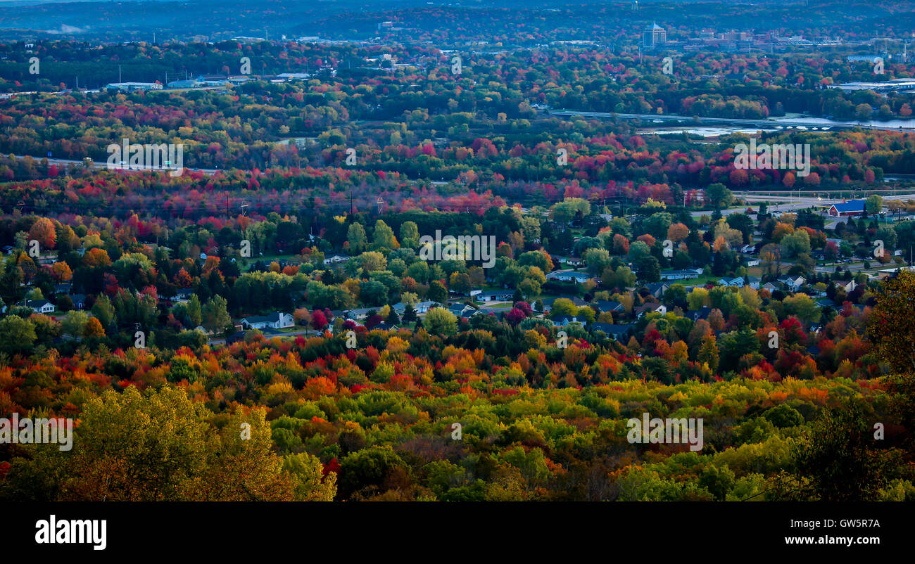 Un cadre coloré, vif, matin d'automne dans la région de Wausau Wisconsin. Banque D'Images