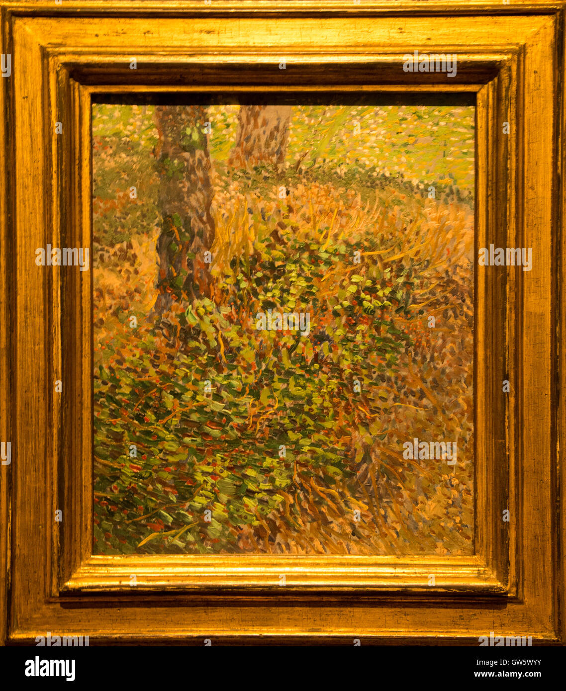 "Sous-bois" 1887 van Gogh Banque D'Images