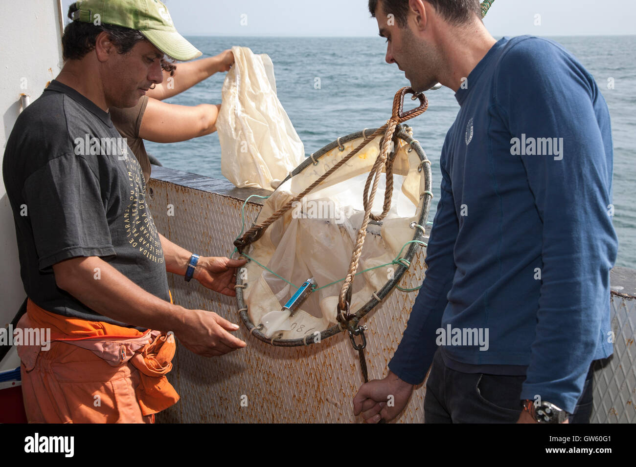 Récupération de filet à plancton. Le réseau lui-même est terminé dans une bouteille ou pot (cul) où le plancton est recueillie non filtrée Banque D'Images