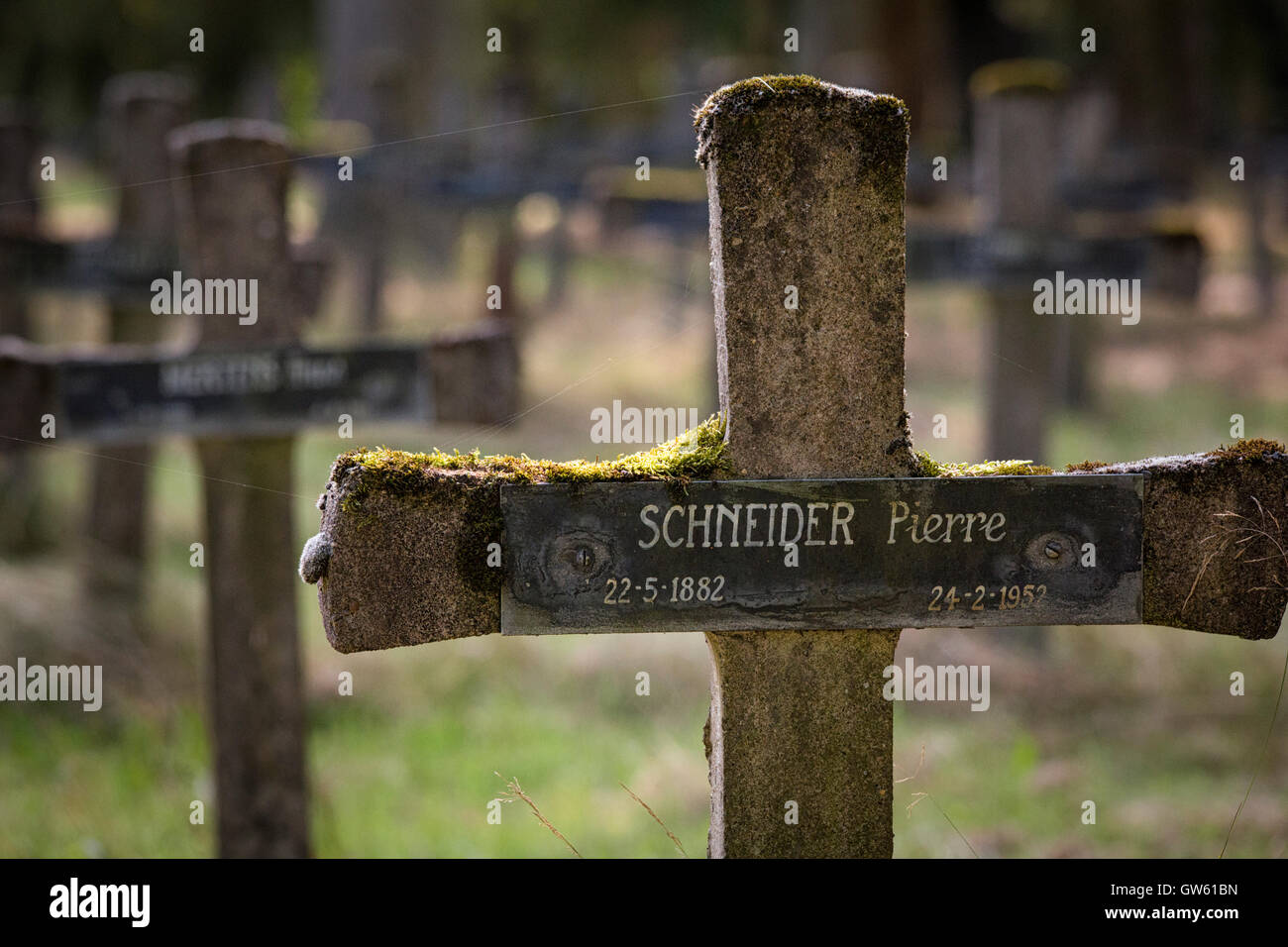 Vieux cimetière avec des pierres tombales en béton en Belgique, appartenant à un asile mental hospital Banque D'Images