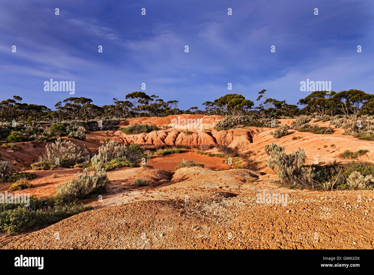 Billabong sans eau à sec dans l'aridité du climat et de l'outback à distance dans l'ouest de l'Australie près de Balladonia roadhouse avant le coucher du soleil. Banque D'Images
