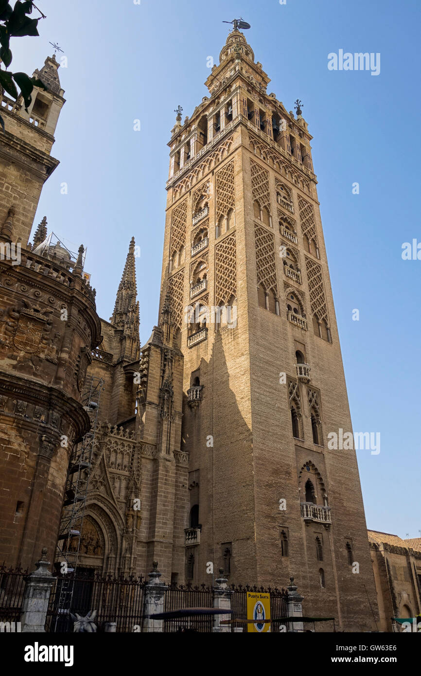 La Giralda de la Cathédrale de Séville, Andalousie, Espagne du Sud Banque D'Images