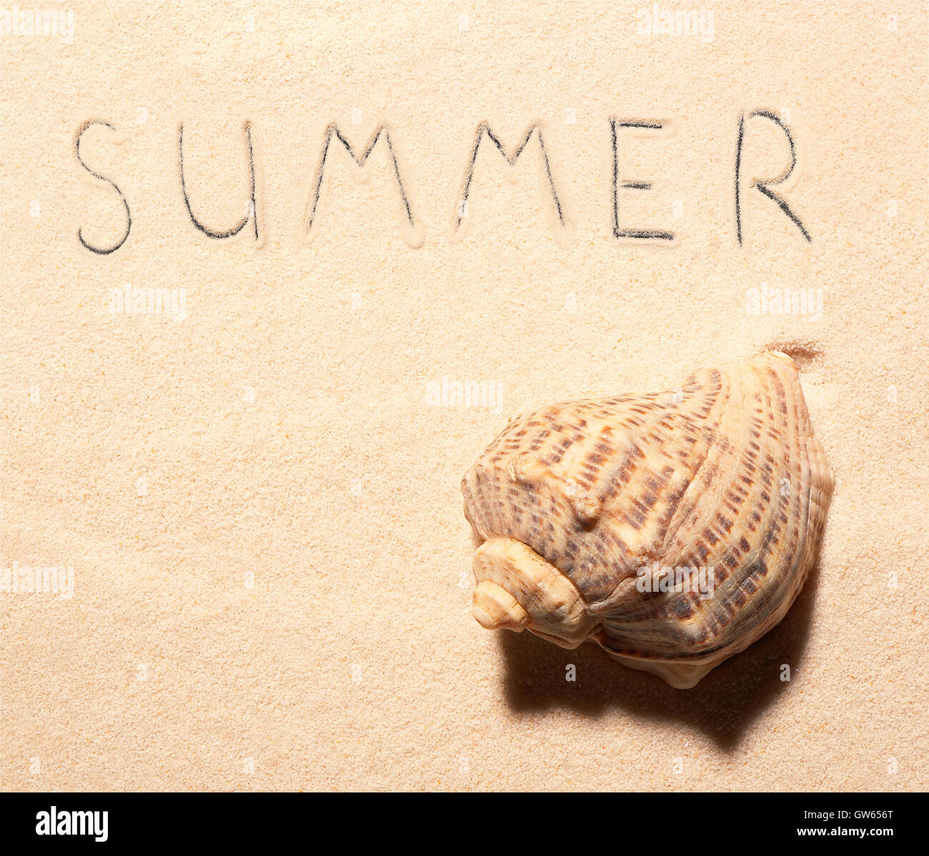Sea Shell et l'été tirées sur le sable. lettrage Fond de plage d'été. Vue de dessus Banque D'Images