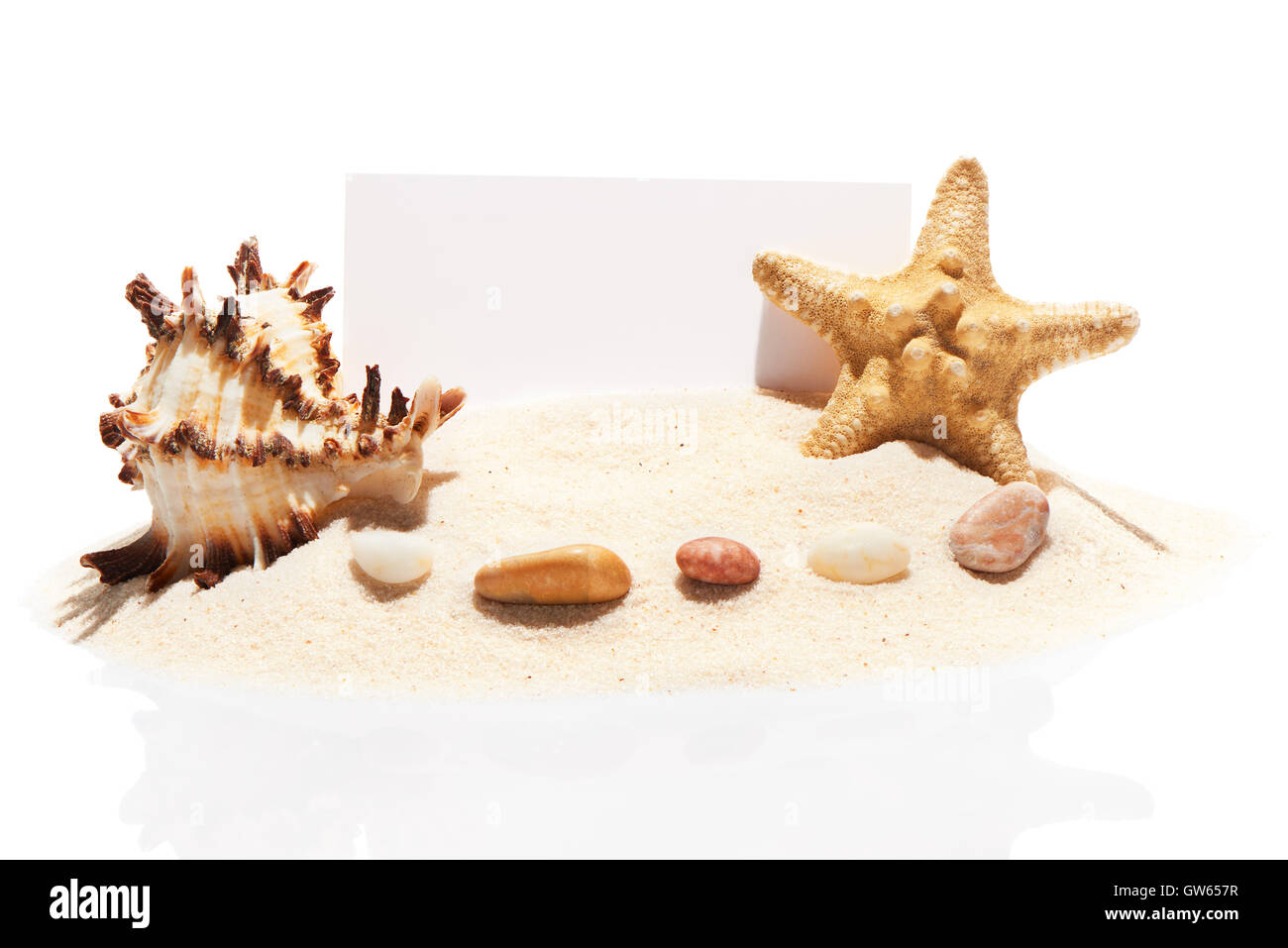 Carte de visite blanche, étoiles de mer, coquillages de mer et de pierres sur les tas de sable de plage, isolé sur fond blanc Banque D'Images