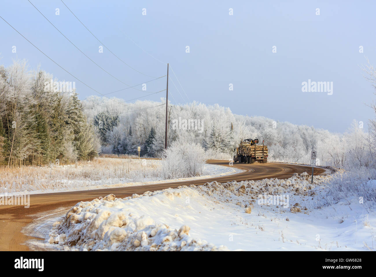 Un couvert de givre woods une conduite de camion d'exploitation forestière à travers elle. Banque D'Images