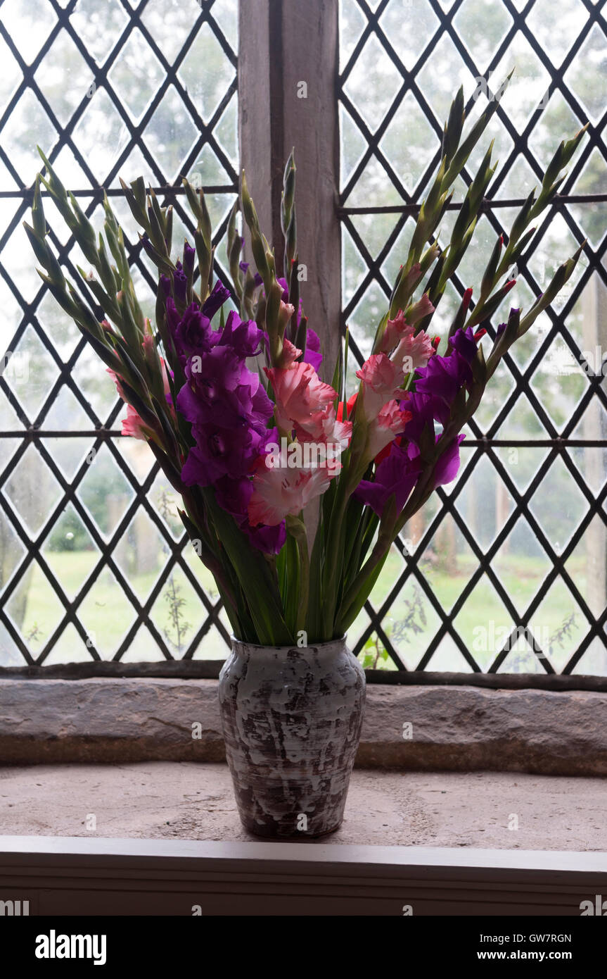 Un vase de glaïeul à l'intérieur de l'église saint Denys, Eaton,  Leicestershire, England, UK Photo Stock - Alamy