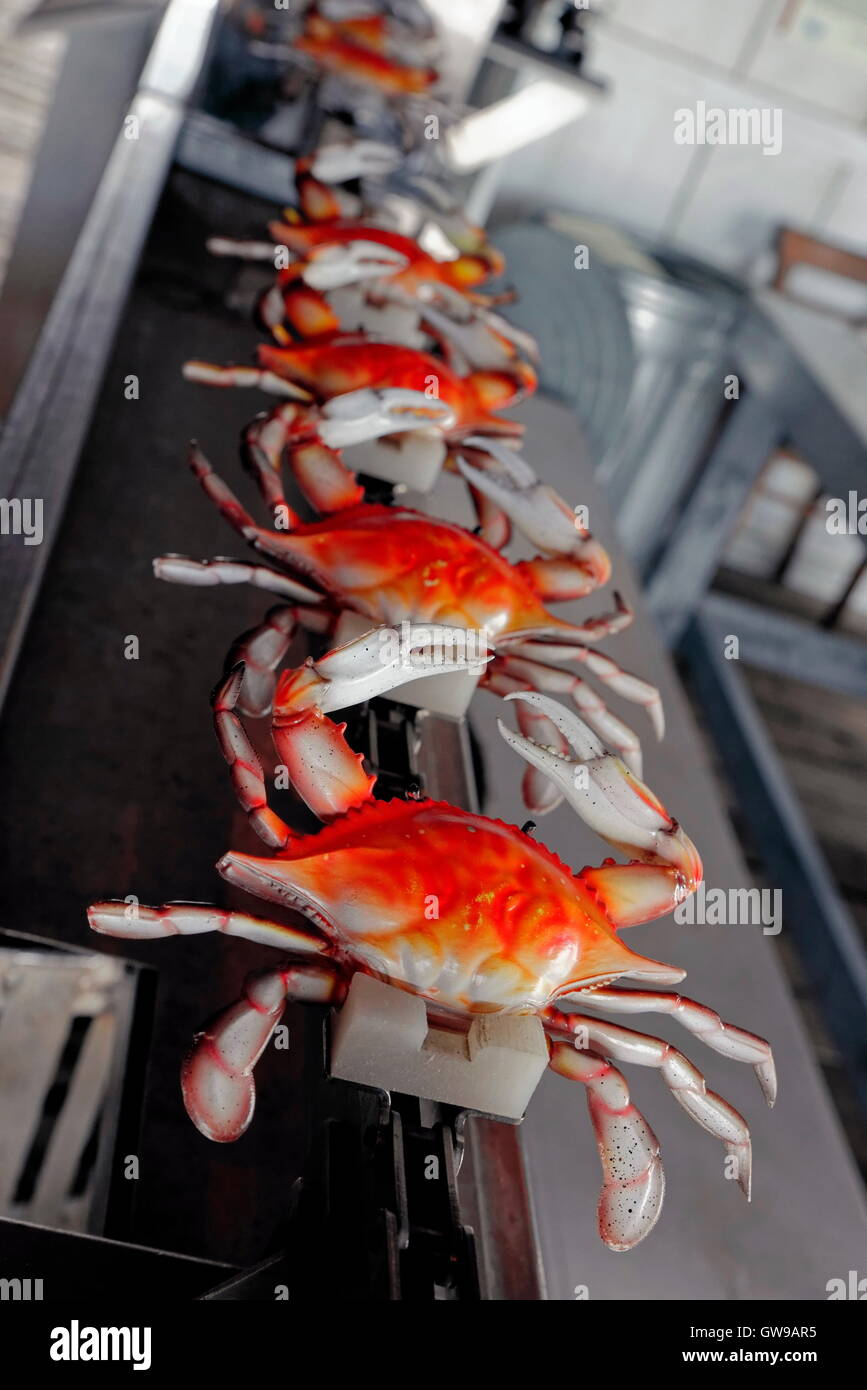 Processeur de crabe commerciaux Banque D'Images