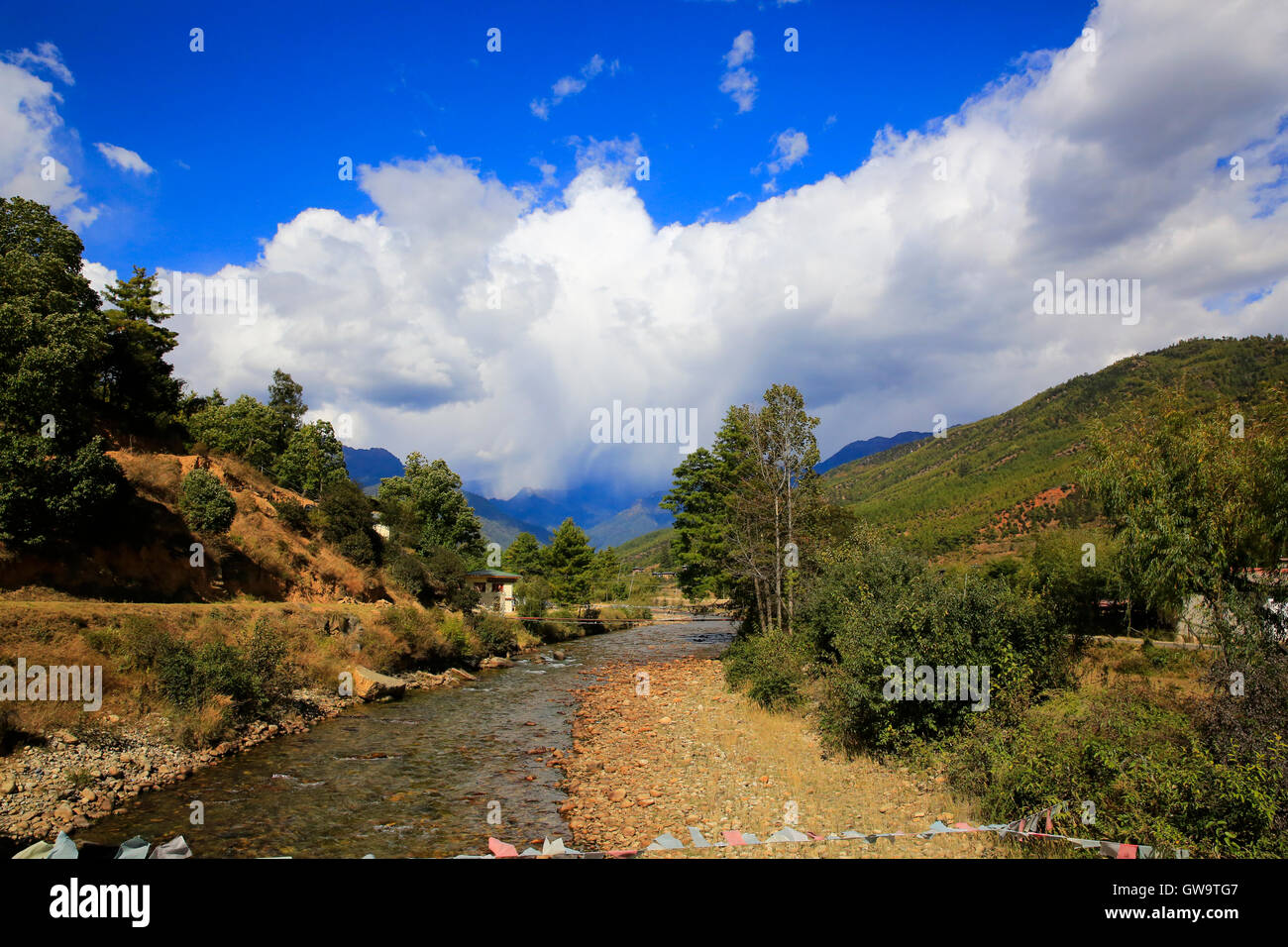 La rivière paro paro Chhu ou au Bhoutan. Banque D'Images