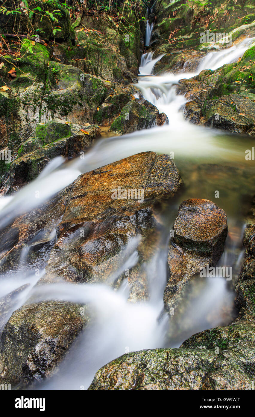 L'eau de la réserve forestière, Tekala Semenyih, Malaisie. Banque D'Images
