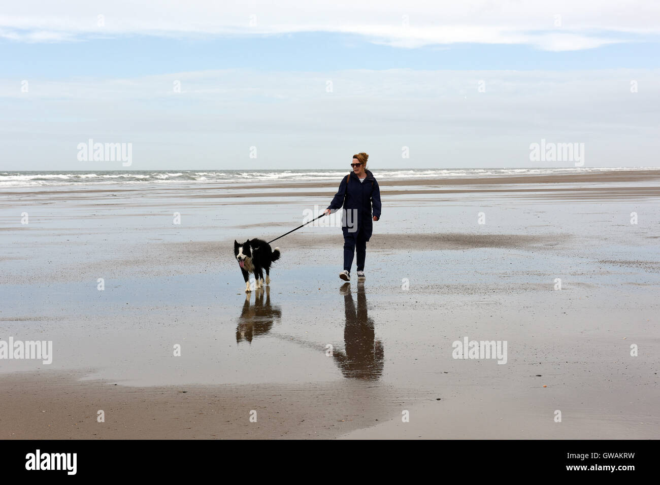 Femme marche border collie dog sur la plage à Tywyn au Pays de Galles Banque D'Images