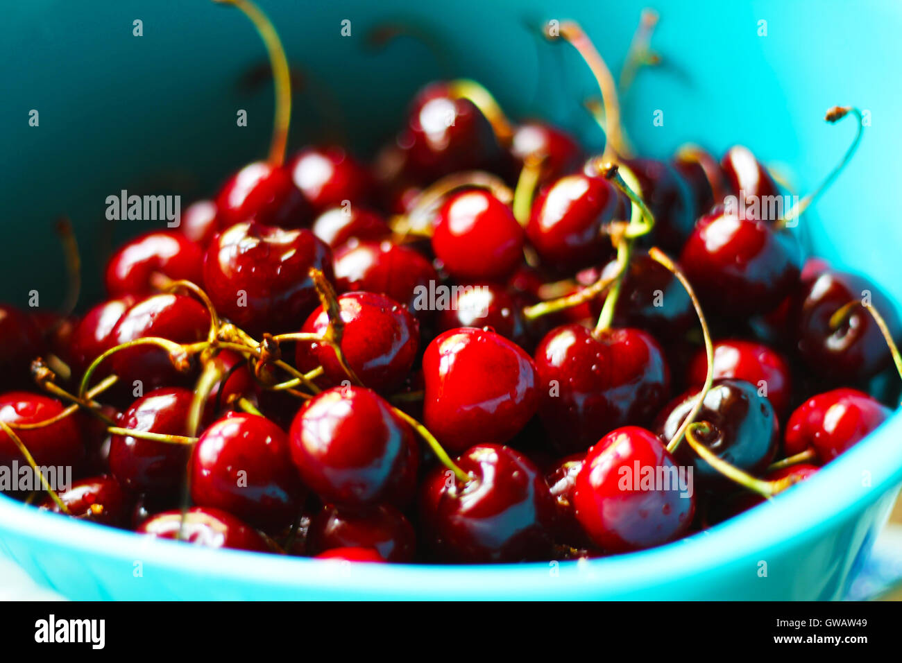 Dans un panier de cerises fraîches. Banque D'Images