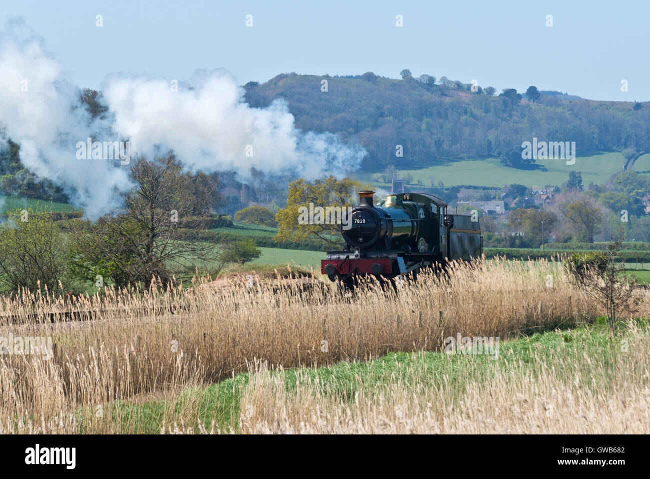 Locomotive 7828, Odney Manor, à pleine vapeur sur le West Somerset Railway à Blue Anchor dans le Somerset avec derrière Dunster Banque D'Images
