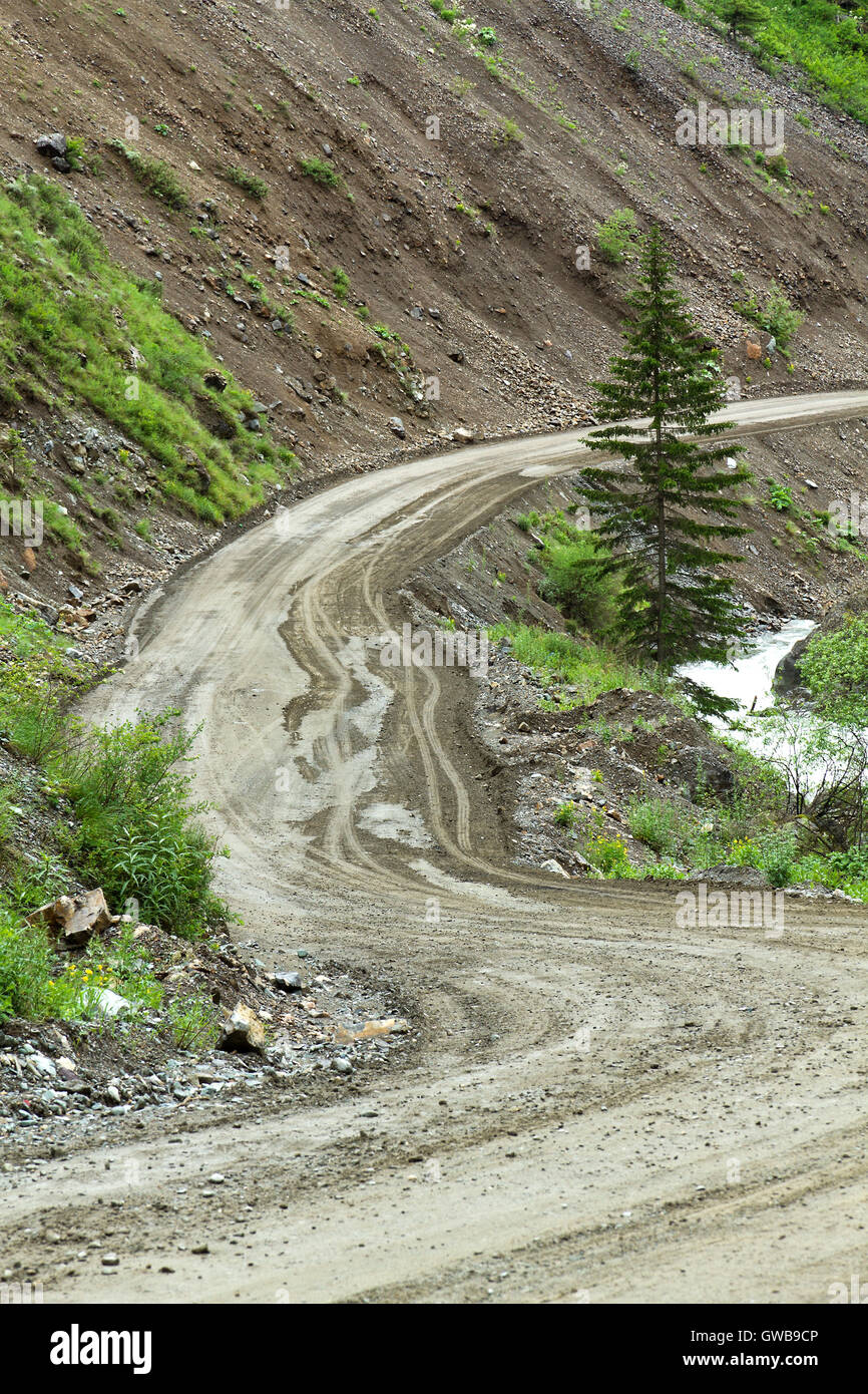 La masse courbe étroite route rurale entourée de montagnes abruptes, petite rivière et lone sapin dans la région de l'Altaï (Russie). Banque D'Images