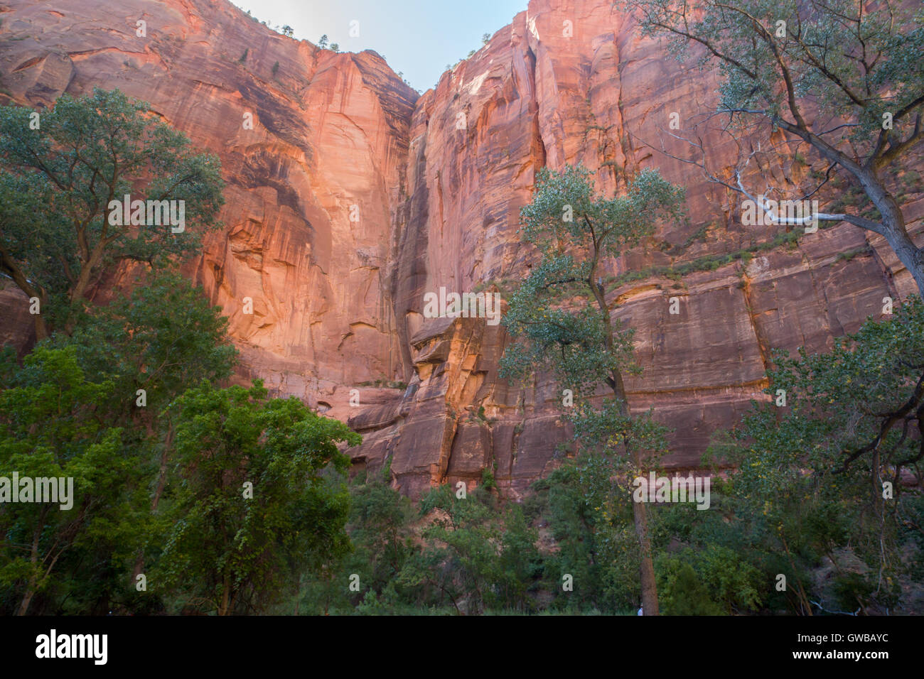 Formations rocheuses du canyon à Zion Temple de Sinawava Banque D'Images