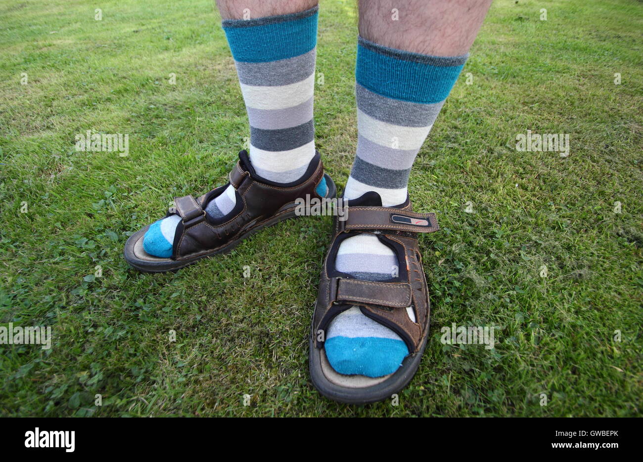 Un homme porte des chaussettes avec des sandales en été dans un jardin  intérieur, Angleterre Royaume-uni PARUTION MODÈLE Photo Stock - Alamy