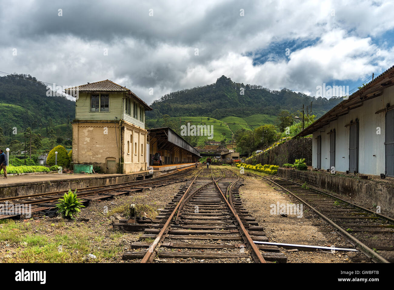 Belle scène de la Nature Banque D'Images
