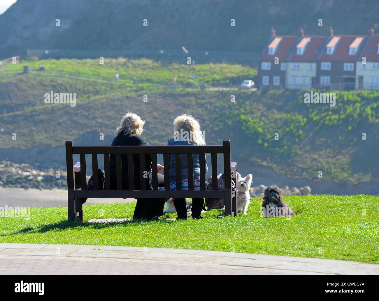 Deux femmes avec des chiens assis à parler sur un banc, à Whitby, North Yorkshire Angleterre UK Banque D'Images