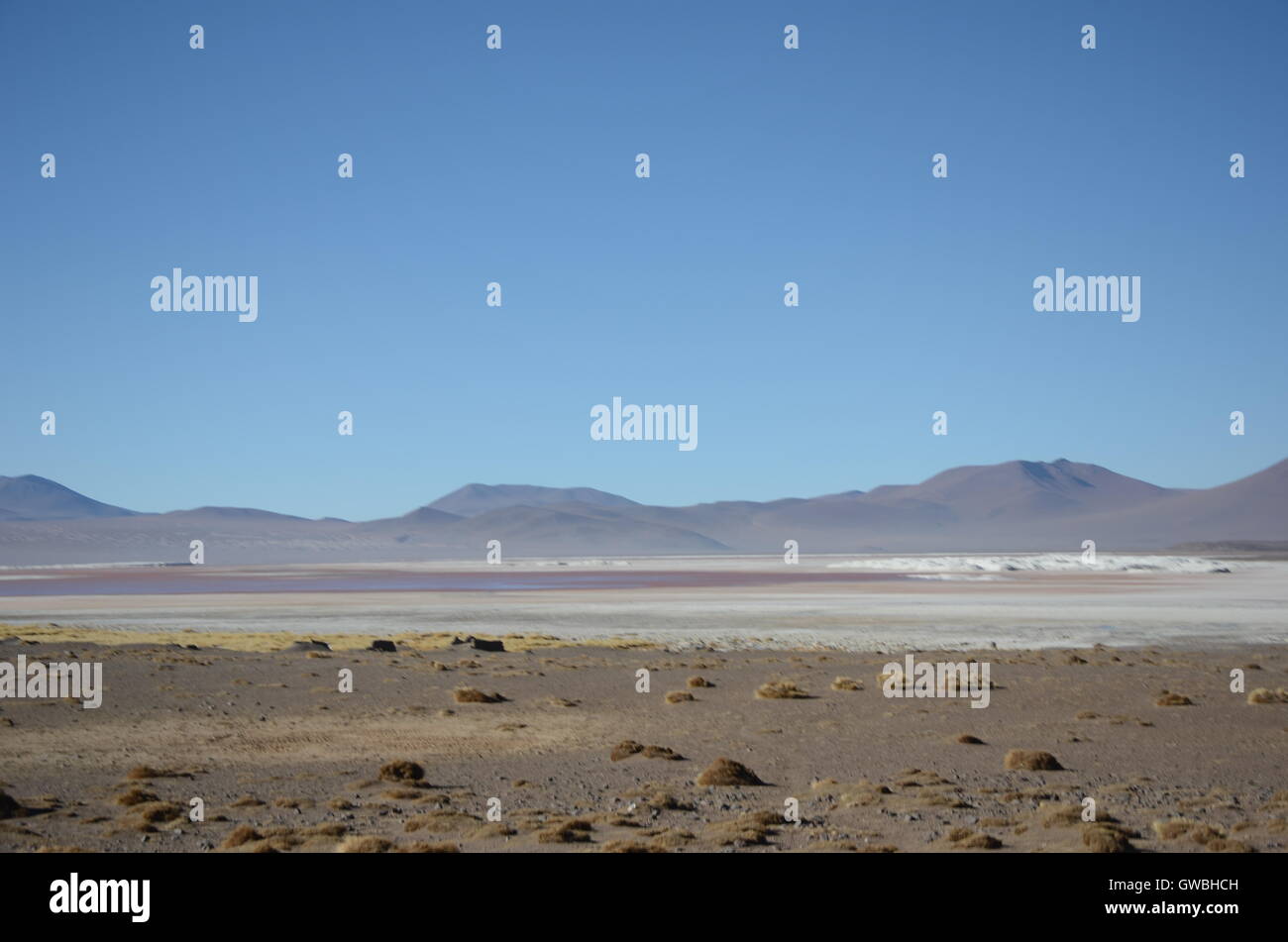 Lagon de l'Altiplano Bolivie Banque D'Images