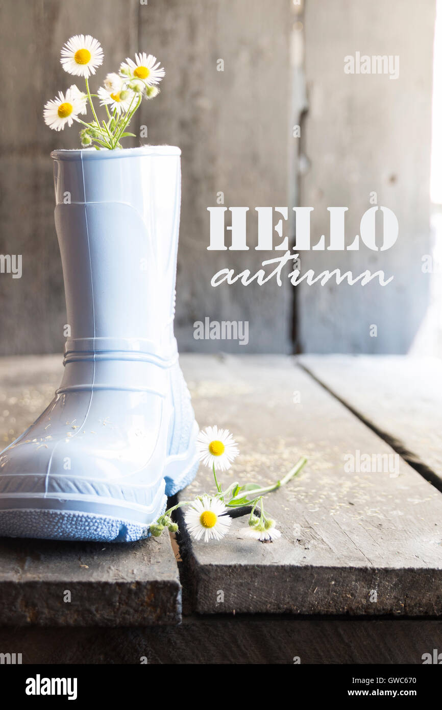 Bonjour automne lettrage, Daisy et bottes, style vintage Banque D'Images