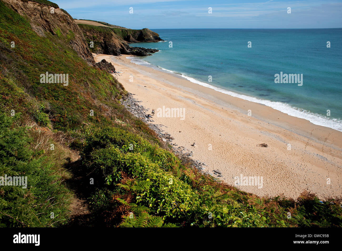 La plage de sable de Porthbeor sur la péninsule de Roseland, sur la côte sud de la Cornouailles, non loin de St Mawes. Banque D'Images