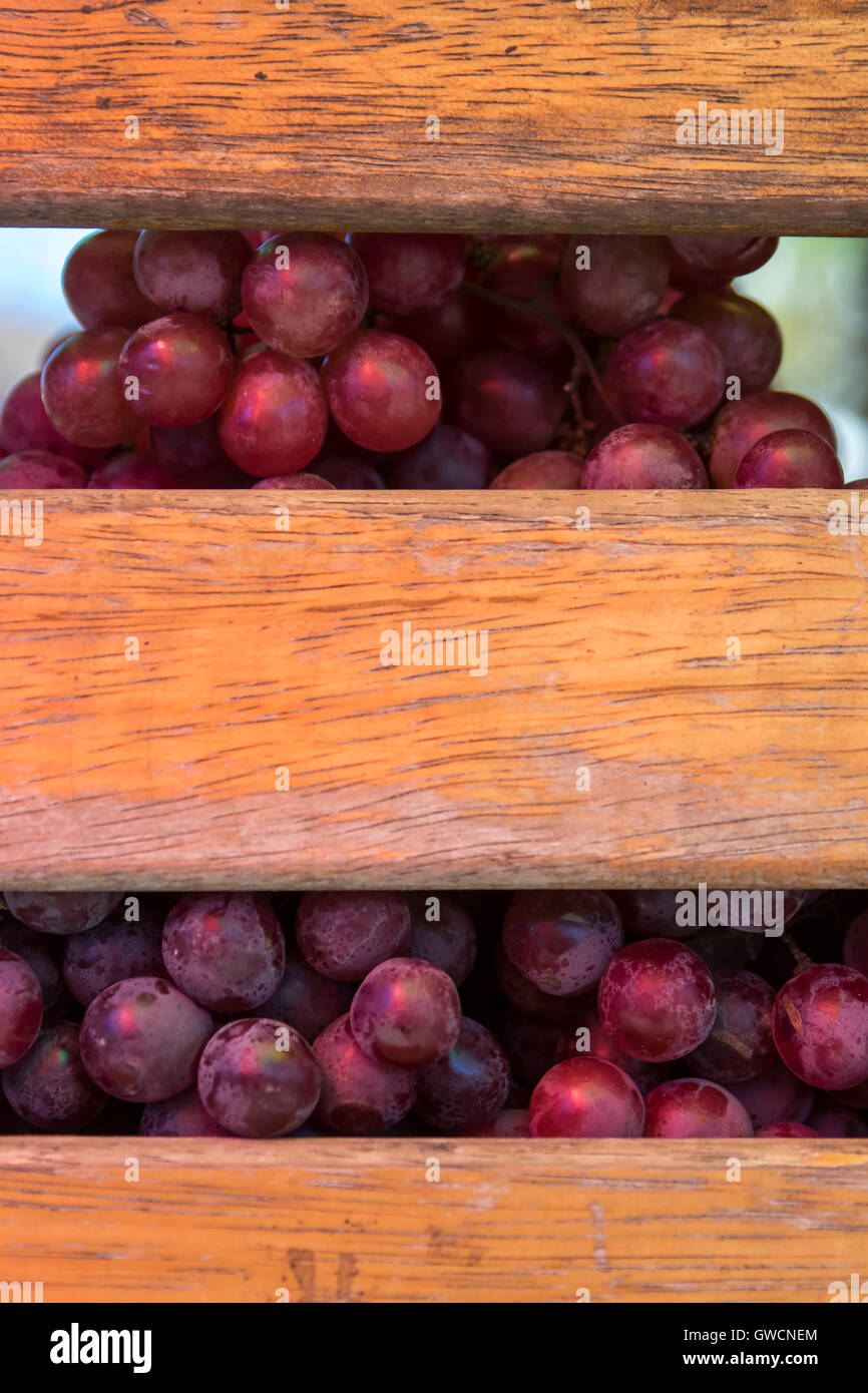 Le mardi est le jour où l'Misak, Guambianos, les populations autochtones d'atteindre le marché de commerce de leurs produits, les légumes, les fruits Banque D'Images