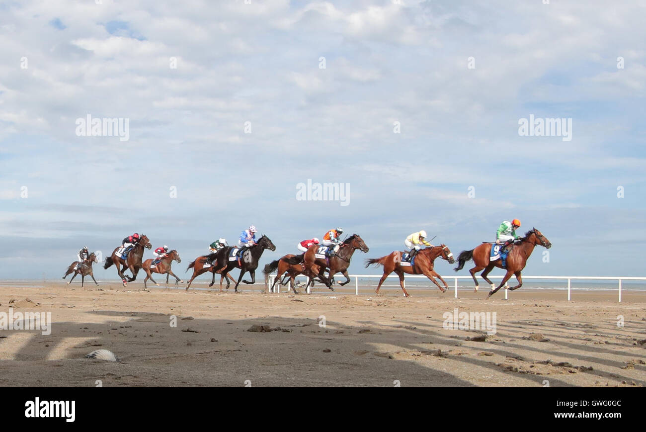 Laytown, Co Meath, Irlande. 13 Sep, 2016. Meath, Irlande. Laytown courses. Mon bon frère monté par C T Keane mène la course dans le final furlong au handicap aux courses : Action Crédit Plus Sport/Alamy Live News Banque D'Images