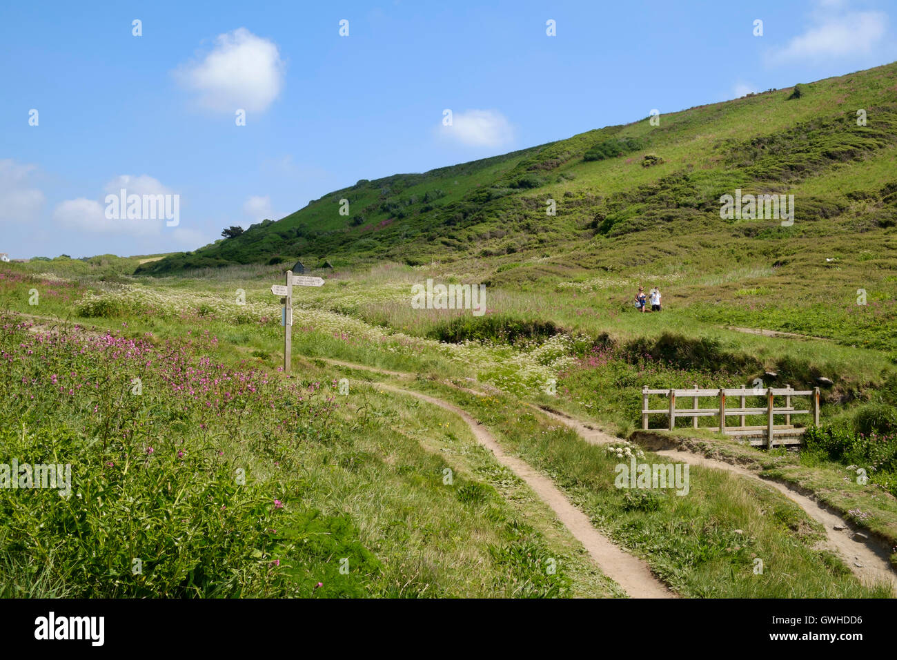 Les promeneurs de chiens sur le South West Coast Path sur la péninsule de Lizard, Cornwall, England, UK Banque D'Images