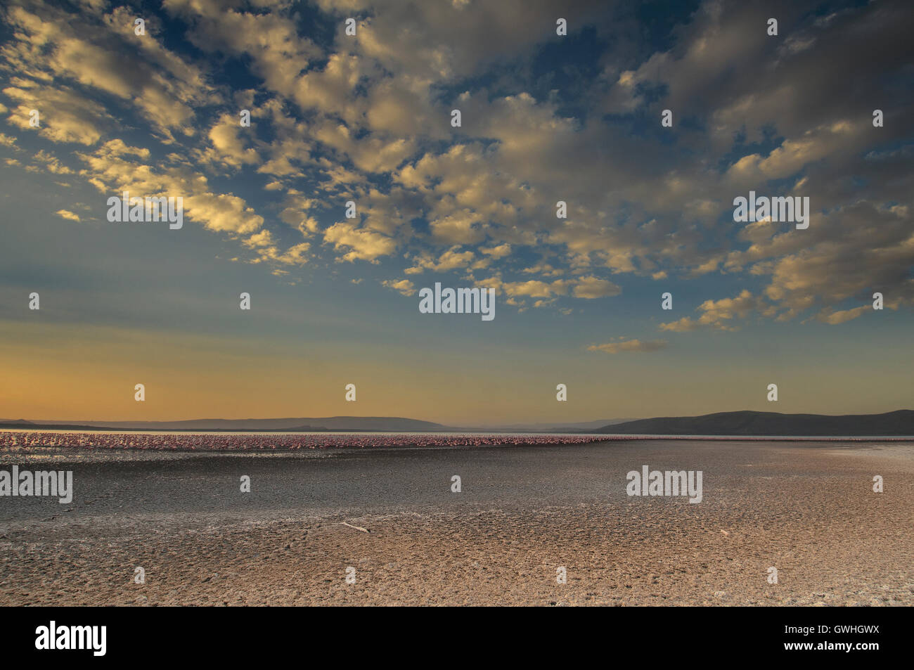 Paysage du Lac Nakuru au coucher du soleil avec des flamants roses en arrière-plan, au Kenya. L'Afrique. Banque D'Images