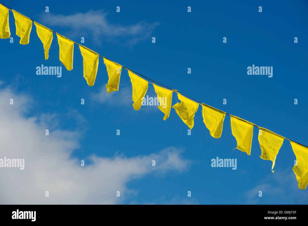 Une ligne jaune de drapeaux de prière Tibetains à Kagyu Samye Ling Monastery. Eskdalemuir, Langholm, Dumfries, Ecosse Banque D'Images