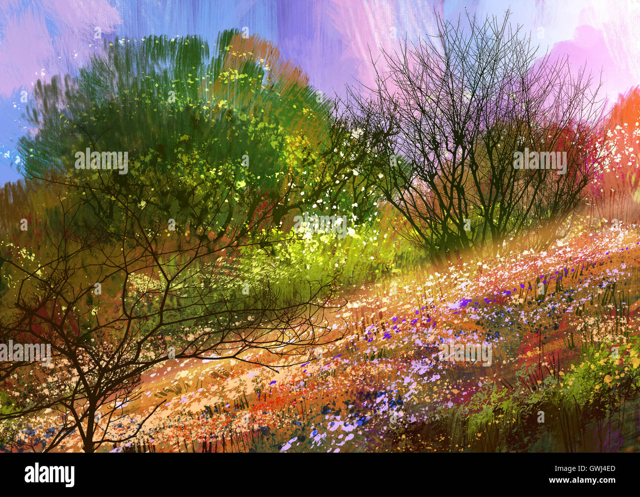 Peinture de paysage de prairie colorée,illustration,scenery Banque D'Images