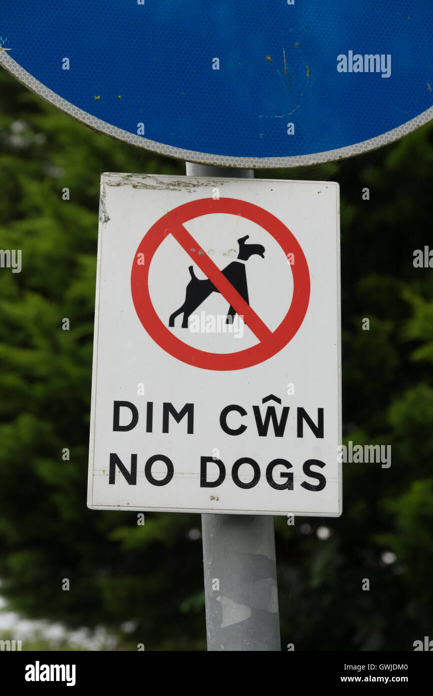 Pas de chien en anglais et gallois signe Banque D'Images