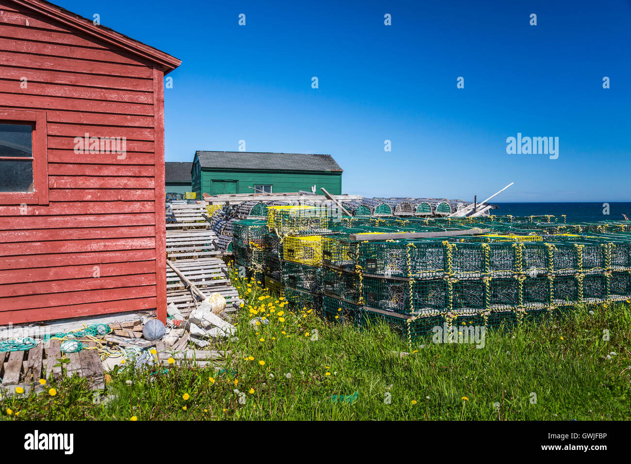 Boîte de sel maisons et étapes de pêche colorés avec des casiers à homard dans le village de Cow Head, Terre-Neuve et Labrador, Canada. Banque D'Images