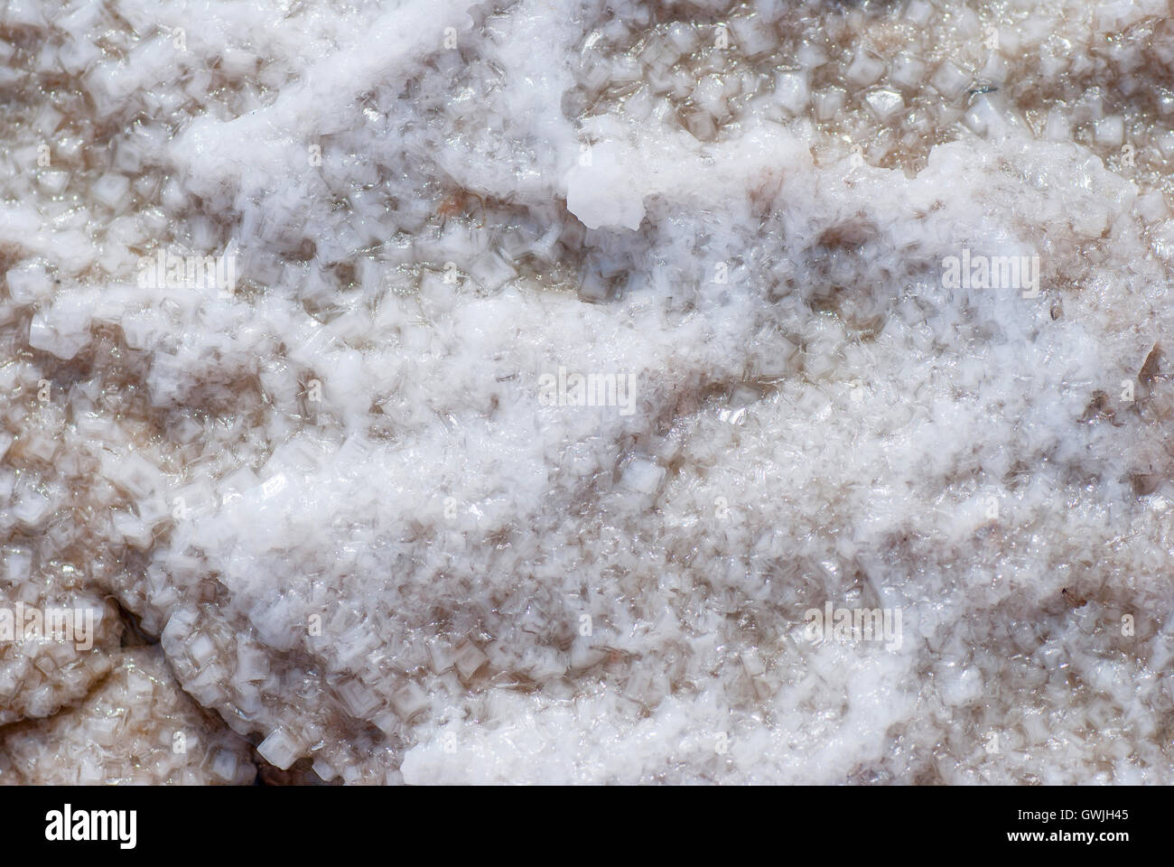 Fond du Lac de sel sec plein de texture.Les mailles forment un motif distinctif comme la foudre. Banque D'Images