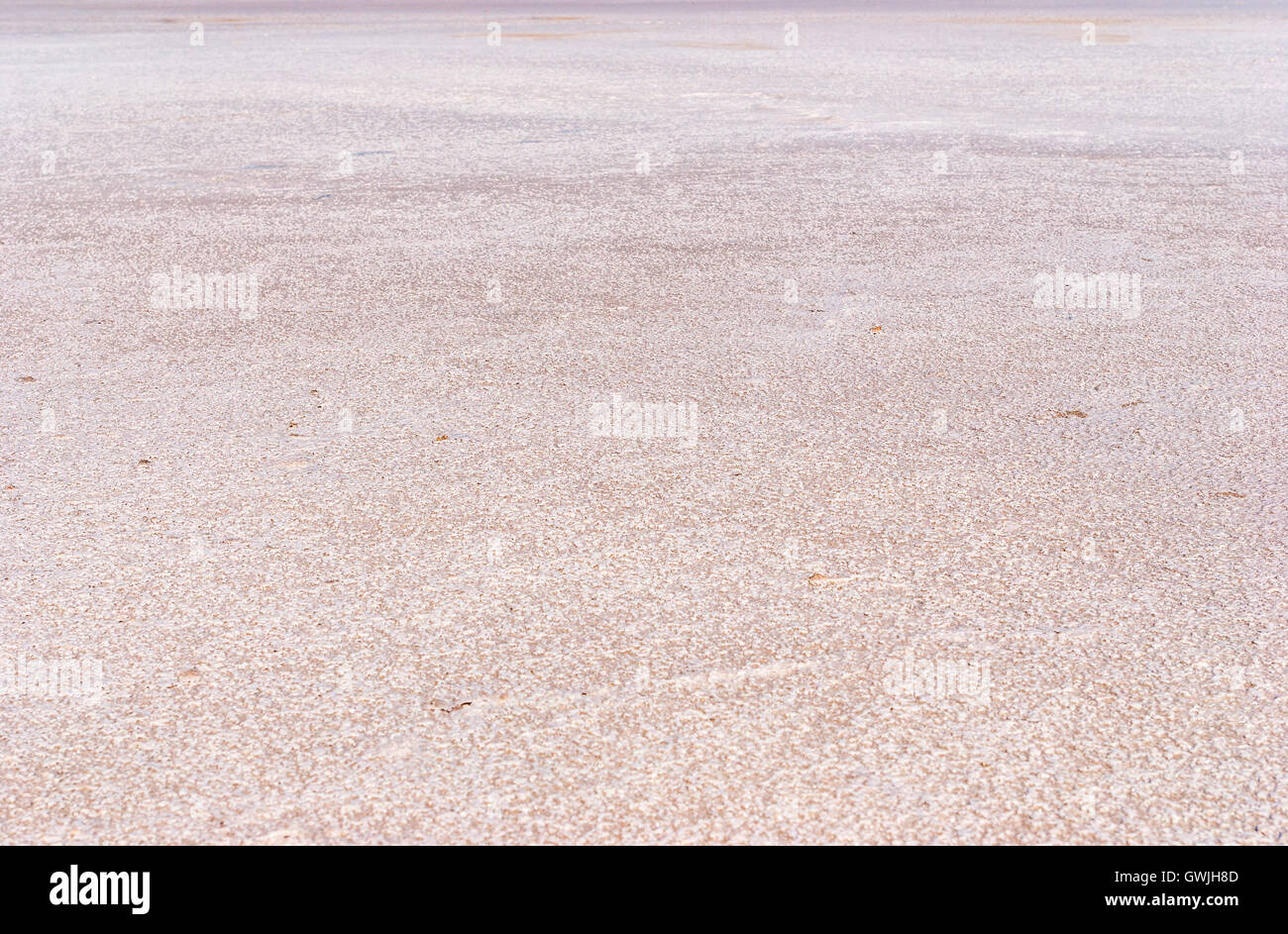 Fond du Lac de sel sec plein de texture.Les mailles forment un motif distinctif comme la foudre. Banque D'Images