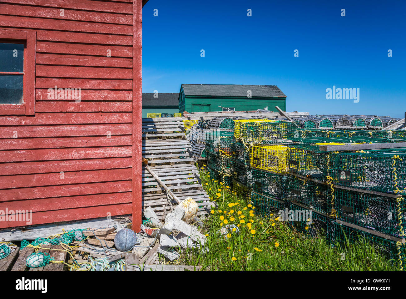 Boîte de sel maisons et étapes de pêche colorés avec des casiers à homard dans le village de Cow Head, Terre-Neuve et Labrador, Canada. Banque D'Images