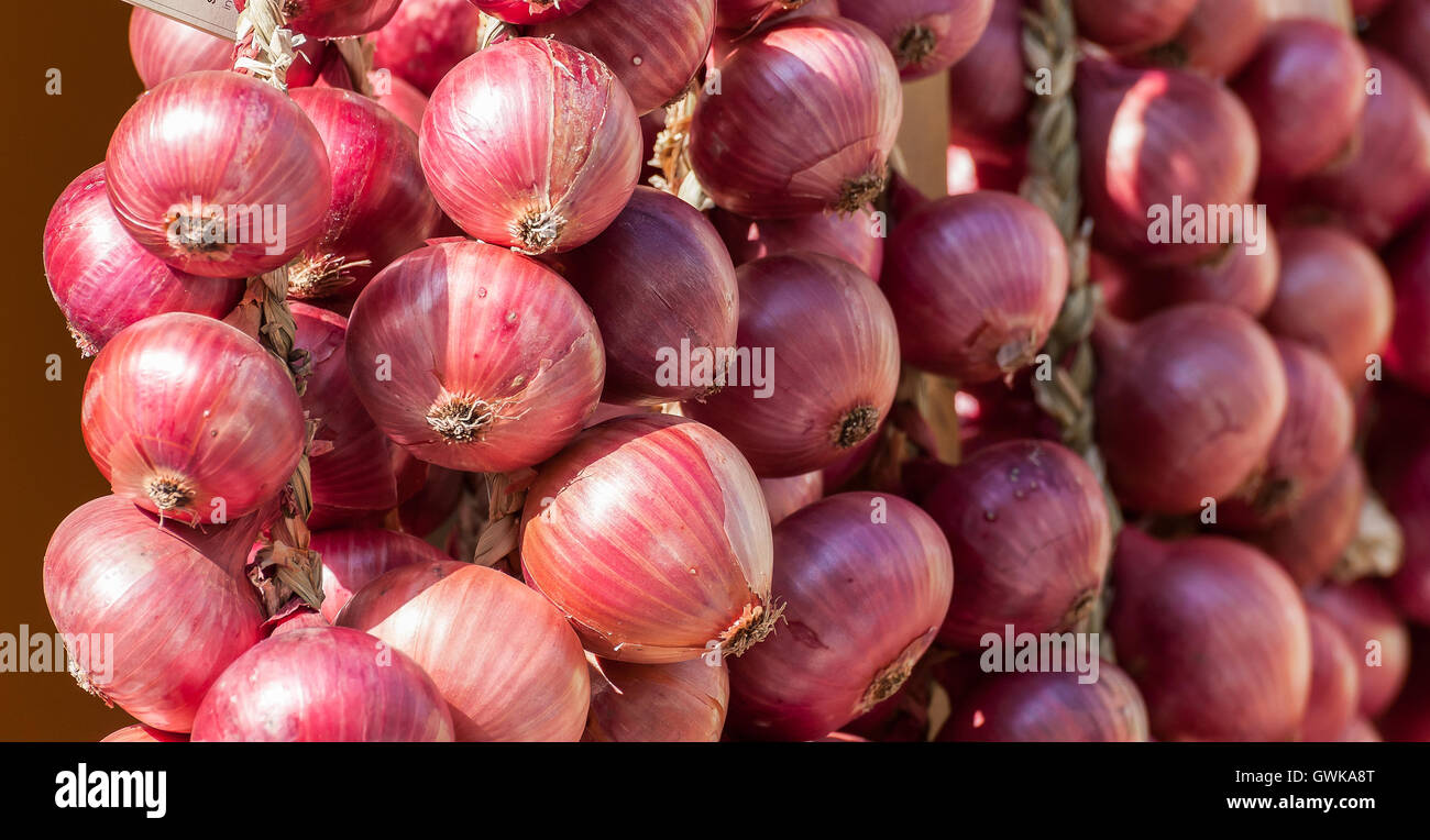 Des tresses d'oignons rouges vendus en Italie dans le marché agricole. Fond d'oignon Banque D'Images