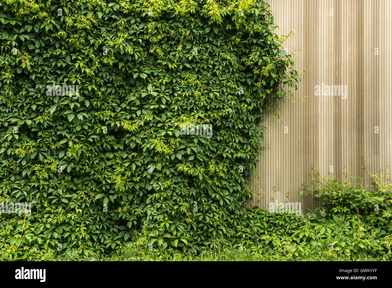 Sur le mur de l'usine Banque D'Images